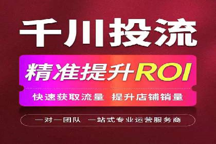 SEM推广实战：成功案例剖析